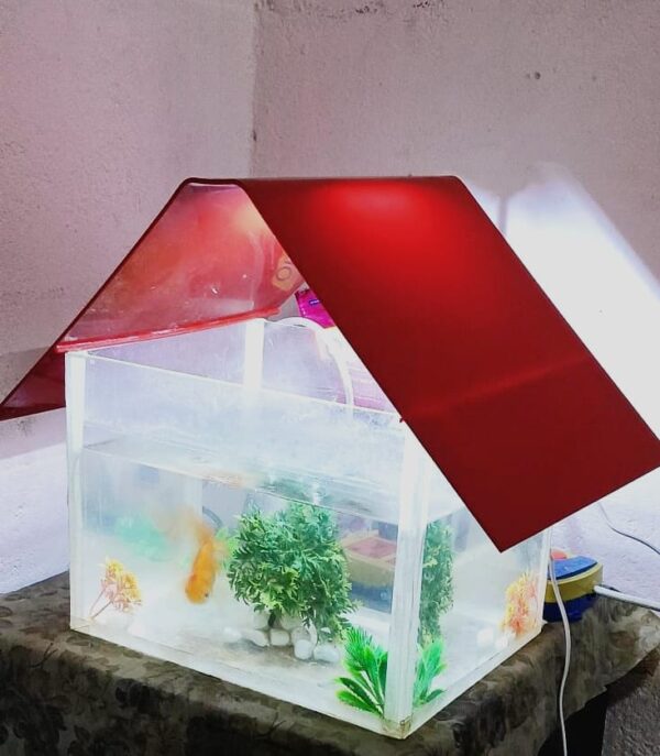 House-Shaped LED Aquarium – Modern Acrylic Fish Tank with Decorative Roof Light - Image 2